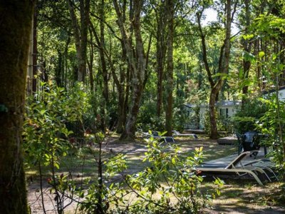 Cliquez pour découvrir toutes les photos de l'ÉTABLISSEMENT ! camping L'Etang D'Ardy photo 29