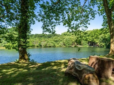 Cliquez pour découvrir toutes les photos de l'ÉTABLISSEMENT ! camping L'Etang D'Ardy photo 5