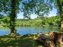 Cliquez pour découvrir toutes les photos de l'ÉTABLISSEMENT ! camping L'Etang D'Ardy photo 5