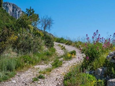 Cliquez pour découvrir toutes les photos de l'ÉTABLISSEMENT ! établissement Les Cent Chênes photo 13