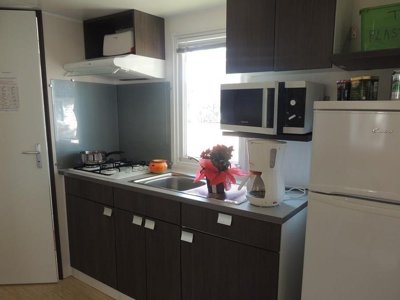 Cliquez pour découvrir toutes les photos de l'HÉBERGEMENT ! mobil-home - Le Domaine De Gajan photo 3