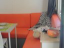Cliquez pour découvrir toutes les photos de l'HÉBERGEMENT ! mobil-home - camping Le Domaine De Gajan photo 3