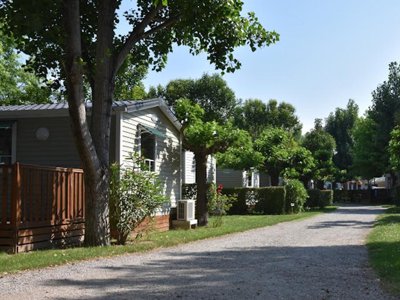 Cliquez pour découvrir toutes les photos de l'ÉTABLISSEMENT ! camping Saint Gabriel photo 16
