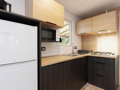 Cliquez pour découvrir toutes les photos de l'HÉBERGEMENT ! mobil-home - Paradis - Albret photo 9
