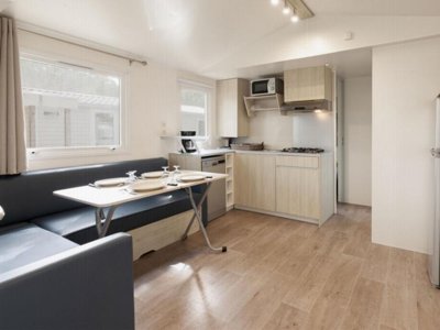 mobil-home - Paradis - Albret photo 12