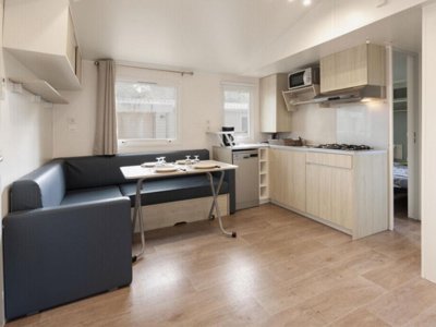 mobil-home - Paradis - Albret photo 15