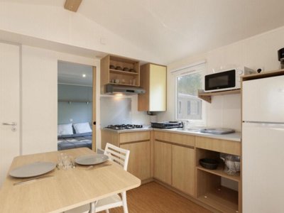 Cliquez pour découvrir toutes les photos de l'HÉBERGEMENT ! mobil-home - Paradis - Albret photo 6