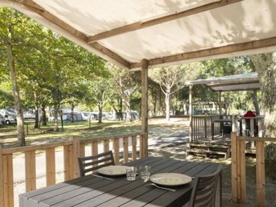 Cliquez pour découvrir toutes les photos de l'HÉBERGEMENT ! mobil-home - Paradis - Albret photo 7