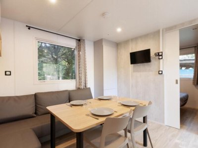 Cliquez pour découvrir toutes les photos de l'HÉBERGEMENT ! mobil-home - Paradis - Albret photo 3