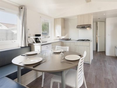 Cliquez pour découvrir toutes les photos de l'HÉBERGEMENT ! mobil-home - Paradis - Albret photo 5
