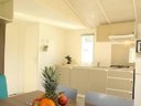 mobil-home - camping Paradis - Albret photo 4