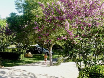 camping Tikayan Saint Clair photo 19