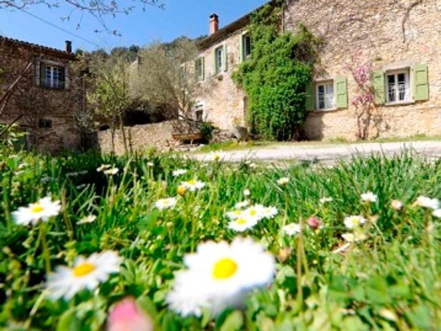 Camping Pas Cher vous présente avec son site Officiel campingpascher.fr, le Camping Domaine D'Anglas classé 5 étoiles, situé sur la commune de Brissac dans le département Hérault (Languedoc Roussillon) en France. Le camping Domaine D'Anglas vous propose un hébergement de type maison de campagne de 120 m² pour 1 personne. L'établissement vous propose 12 autres types d'hébergements. Découvrez tous nos séjours à petits prix dans la commune et aux alentours de Brissac du département : Hérault (Languedoc Roussillon). MerRivière, Piscine extérieure, Animations familiales, Club enfants, Aire de jeux enfants, Canoë-kayak, Golf, Ping-pong, Pétanque, Randonnée, Terrain de football, Bar, Boulangerie, Dépôt de pain, Plats à emporter, Restaurant, Épicerie,... En savoir plus : cliquez-ICI.