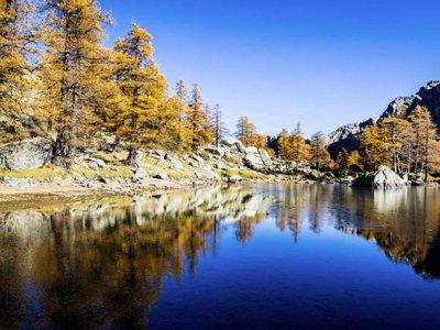 camping Le Mas Fleuri photo 20