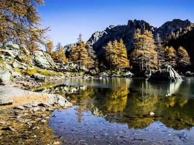 camping Le Mas Fleuri photo 22