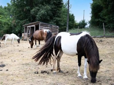 camping Maeva Escapades Les Lacs D'Armagnac photo 12
