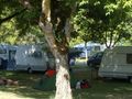 Cliquez pour découvrir toutes les photos de l'ÉTABLISSEMENT ! établissement L'Argenté - Onlycamp photo 3