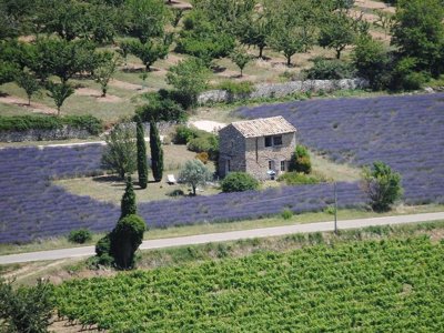 établissement Forcalquier photo 22