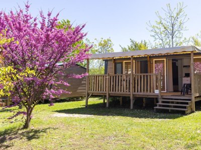 établissement Forcalquier photo 8