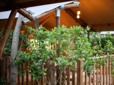 Cliquez pour découvrir toutes les photos de l'HÉBERGEMENT ! tente en toile et bois - Lodges & Nature photo 5