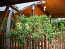 Cliquez pour découvrir toutes les photos de l'HÉBERGEMENT ! tente en toile et bois - camping Lodges & Nature photo 5