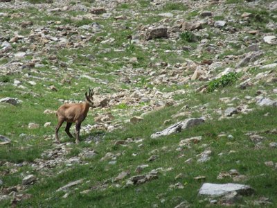 Cliquez pour découvrir toutes les photos de l'ÉTABLISSEMENT ! camping La Ribière photo 15