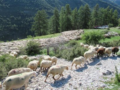 Cliquez pour découvrir toutes les photos de l'ÉTABLISSEMENT ! camping La Ribière photo 2