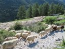 Cliquez pour découvrir toutes les photos de l'ÉTABLISSEMENT ! camping La Ribière photo 2