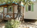 Cliquez pour découvrir toutes les photos de l'HÉBERGEMENT ! mobil-home - camping Flower L'Epi Bleu photo 1