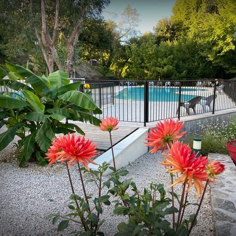 Cliquez pour découvrir toutes les photos de l'ÉTABLISSEMENT ! établissement La Salendrinque photo 3