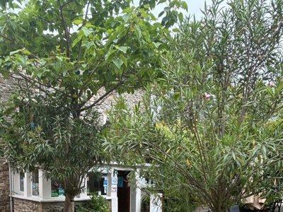 Cliquez pour découvrir toutes les photos de l'ÉTABLISSEMENT ! établissement Le Pradal photo 16