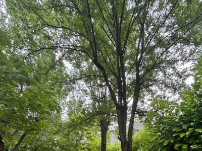 Cliquez pour découvrir toutes les photos de l'ÉTABLISSEMENT ! établissement Le Pradal photo 18