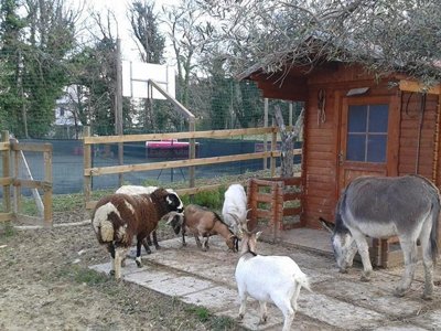 camping Centro Vacanze San Marino photo 16
