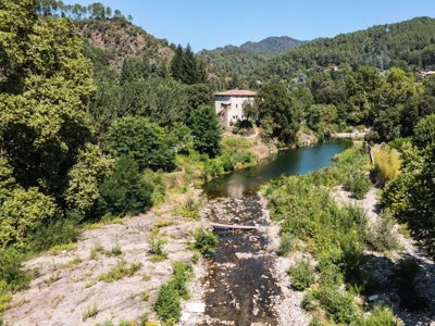 Cliquez pour découvrir toutes les photos de l'ÉTABLISSEMENT ! établissement Du Château De L'Hom photo 9