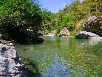 Cliquez pour découvrir toutes les photos de l'ÉTABLISSEMENT ! camping Bivouac Nature photo 19