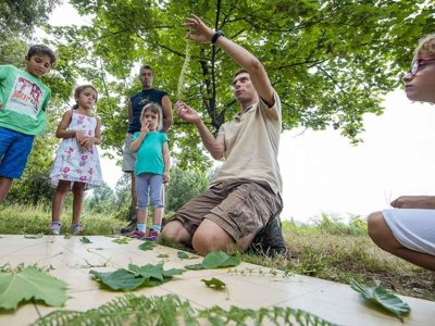 Cliquez pour découvrir toutes les photos de l'ÉTABLISSEMENT ! camping Bivouac Nature photo 22