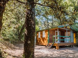 Camping Pas Cher vous présente avec son site Officiel campingpascher.fr, le Camping Sunêlia La Clémentine classé 4 étoiles, situé sur la commune de Cendras dans le département Gard (Languedoc Roussillon) en France. Le camping Sunêlia La Clémentine, vous présente un hébergement de type chalet de 18 m² pour 1 personne. Le camping Sunêlia La Clémentine vous propose du sam. 12 septembre au sam. 19 septembre 2026, en promotion à -19% pour 7 nuits à 170,10 € au lieu de 210,0 € soit une Économie de 39,90 €. Cette location propose 96 dates différentes pour réserver votre séjour. Découvrez également les 14 autres gammes d'hébergements du camping. Les Avis clients pour le Camping Sunêlia La Clémentine sont excellents avec une note moyenne de 8 sur 10. Lagon, Piscine extérieure, Animations familiales, Club enfants, Aire de jeux enfants, Baby-foot, Court de padel en extérieur, Ping-pong, Structure gonflable enfants, Terrain de badminton, Terrain multisports, Dépôt de pain, Restaurant, Snack/Bar, Station-service, Supermarché, Épicerie,... En savoir plus : cliquez-ICI.