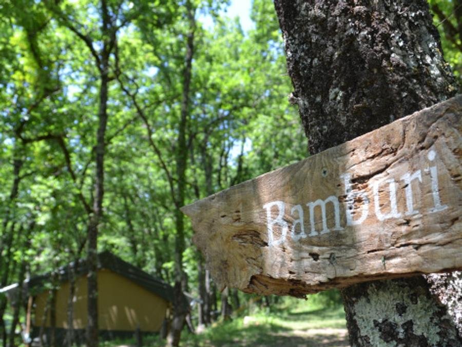 Camping Pas Cher vous présente avec son site Officiel campingpascher.fr, le Camping Le Camp classé 3 étoiles, situé sur la commune de Varen dans le département Tarn-et-garonne (Midi Pyrénées) en France. Le camping Le Camp, vous présente un hébergement de type tente en toile et bois. Le camping Le Camp vous propose du sam. 05 septembre au sam. 12 septembre 2026 pour 7 nuits à 722€. Cette location propose 6 dates différentes pour réserver votre séjour. Découvrez également les 7 autres gammes d'hébergements du camping. Piscine extérieure, Animations familiales, Aire de jeux enfants, Canoë-kayak, Cyclisme, Escalade, Parcours sportif, Ping-pong, Pétanque, Plats à emporter,... En savoir plus : cliquez-ICI.