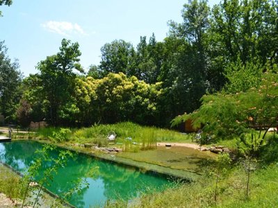 Cliquez pour découvrir toutes les photos de l'ÉTABLISSEMENT ! camping Le Camp photo 11