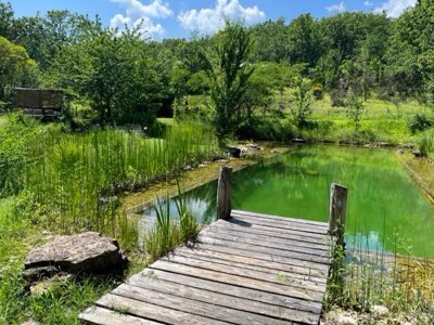 Cliquez pour découvrir toutes les photos de l'ÉTABLISSEMENT ! camping Le Camp photo 19