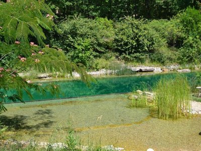 Cliquez pour découvrir toutes les photos de l'ÉTABLISSEMENT ! camping Le Camp photo 20
