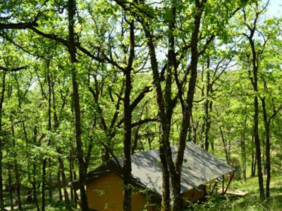 Cliquez pour découvrir toutes les photos de l'HÉBERGEMENT ! tente en toile et bois - Le Camp photo 5