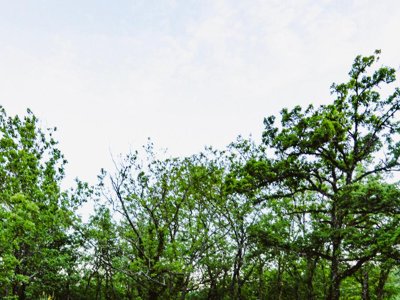 Cliquez pour découvrir toutes les photos de l'HÉBERGEMENT ! tente en toile et bois - Le Camp photo 14