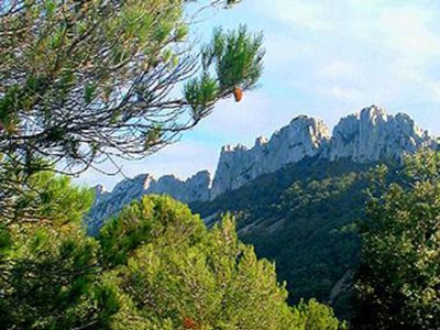 Cliquez pour découvrir toutes les photos de l'ÉTABLISSEMENT ! camping Des Favards photo 15