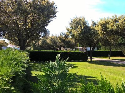 Cliquez pour découvrir toutes les photos de l'ÉTABLISSEMENT ! camping Des Favards photo 17