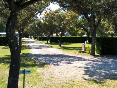 Cliquez pour découvrir toutes les photos de l'ÉTABLISSEMENT ! camping Des Favards photo 18