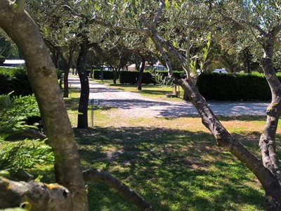 Cliquez pour découvrir toutes les photos de l'ÉTABLISSEMENT ! camping Des Favards photo 19