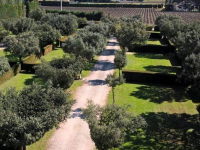Cliquez pour découvrir toutes les photos de l'ÉTABLISSEMENT ! camping Des Favards photo 9