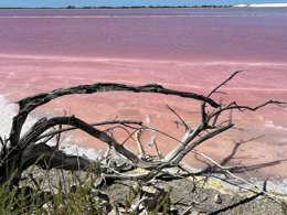 Camping Pas Cher vous présente avec son site Officiel campingpascher.fr, le Camping Les Dolmens classé 4 étoiles, situé sur la commune de Mejannes Le Clap dans le département Gard (Languedoc Roussillon) en France. Le camping Les Dolmens, vous présente un hébergement de type hébergement insolite de 18 m² pour 4 personnes. Le camping Les Dolmens vous propose du mercredi 01 avril au mercredi 08 avril 2026 pour 7 nuits à 298€. Cette location propose 127 dates différentes pour réserver votre séjour. Découvrez également les 5 autres gammes d'hébergements du camping. Les Avis clients pour le Camping Les Dolmens sont de 6 sur 10. Piscine couverte, Piscine extérieure, Aire de jeux enfants, Cyclisme, Ping-pong, Pétanque, Randonnée, Salle de jeux vidéo, Terrain multisports, Bar, Boulangerie, Snack/Bar, Épicerie,... En savoir plus : cliquez-ICI.
