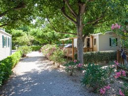 Camping Pas Cher vous présente avec son site Officiel campingpascher.fr, le Camping Les Amarines - Paradis classé 4 étoiles, situé sur la commune de Cornillon dans le département Gard (Languedoc Roussillon) en France. Le camping Les Amarines - Paradis, vous présente un hébergement de type mobil-home de 30 m² pour 4 personnes avec climatisation. Le camping Les Amarines - Paradis vous propose du sam. 19 septembre au sam. 26 septembre 2026 pour 7 nuits à 279€. Cette location propose 139 dates différentes pour réserver votre séjour. Découvrez également les 5 autres gammes d'hébergements du camping. Les Avis clients pour le Camping Les Amarines - Paradis sont excellents avec une note moyenne de 8 sur 10. Rivière, Piscine chauffée, Piscine extérieure, Animations familiales, Club enfants, Aire de jeux enfants, Canoë-kayak, Parcours sportif, Ping-pong, Pétanque, Randonnée, Terrain de volley-ball, Tir à l’arc, Trampoline, Bar, Bureau de tabac, Dépôt de pain, Pizzeria, Restaurant, Snack/Bar, Station-service, Supermarché,... En savoir plus : cliquez-ICI.